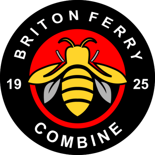 Briton Ferry Combine